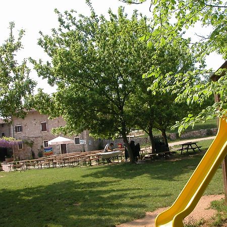 Agriturismo Ca' Verde SantʼAmbrogio di Valpolicella Dış mekan fotoğraf