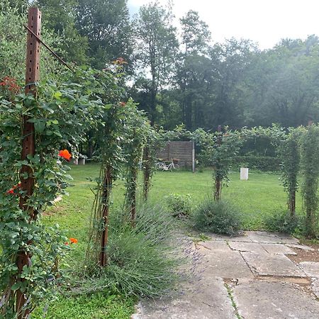 Agriturismo Ca' Verde SantʼAmbrogio di Valpolicella Dış mekan fotoğraf