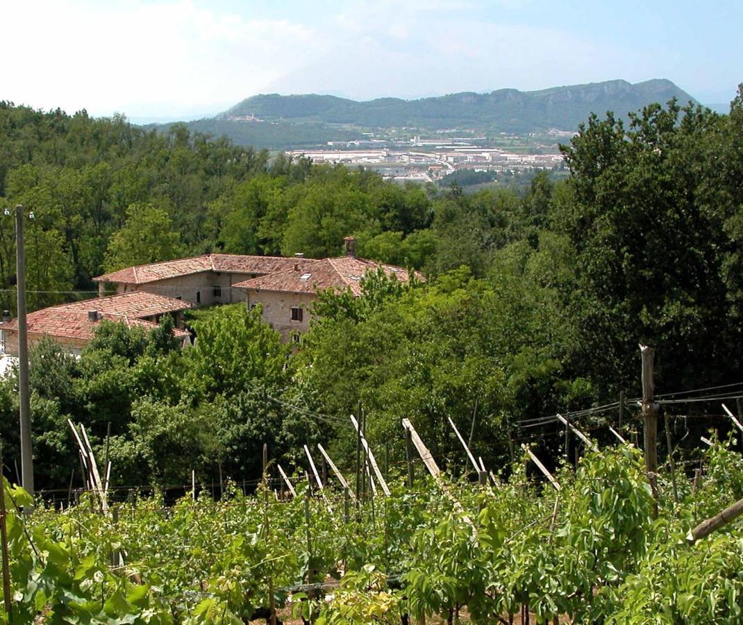 Agriturismo Ca' Verde SantʼAmbrogio di Valpolicella Dış mekan fotoğraf