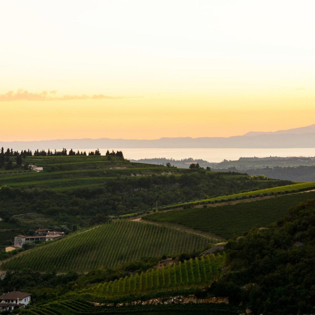 Agriturismo Ca' Verde SantʼAmbrogio di Valpolicella Dış mekan fotoğraf