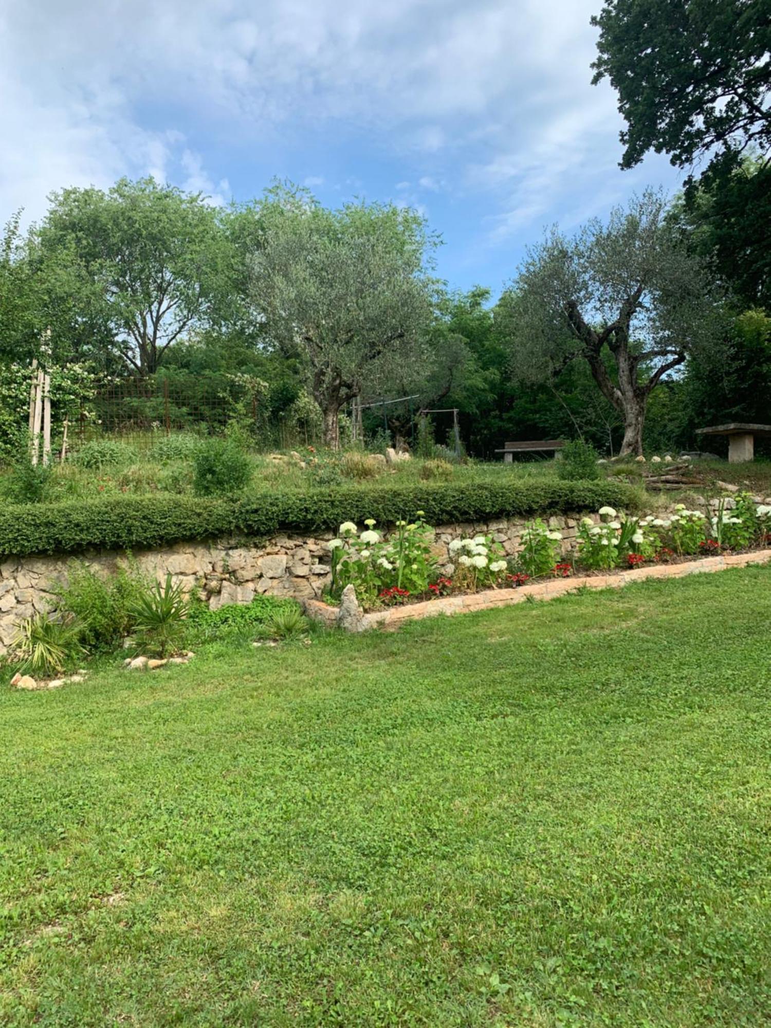 Agriturismo Ca' Verde SantʼAmbrogio di Valpolicella Dış mekan fotoğraf