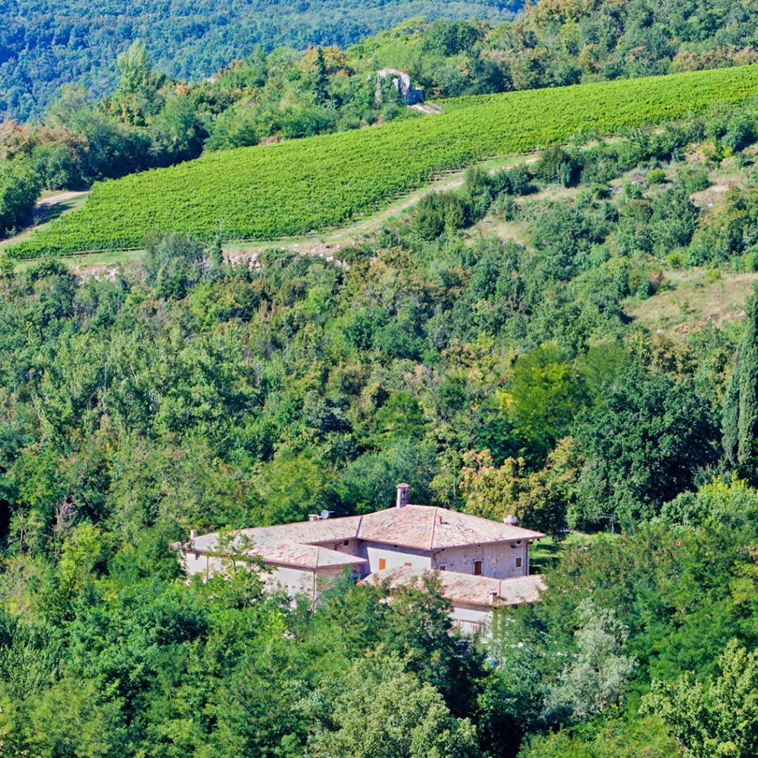 Agriturismo Ca' Verde SantʼAmbrogio di Valpolicella Dış mekan fotoğraf